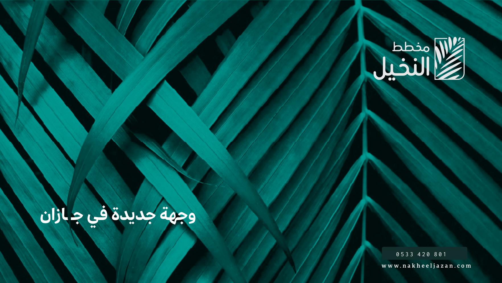 غلاف الكتيب التعريفي لمخطط النخيل في جازان